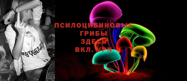 Альфа ПВП Аркадак