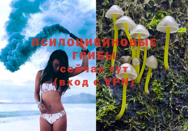 спиды Арсеньев