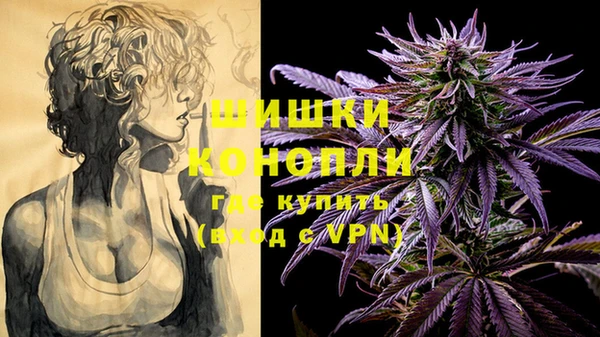 Альфа ПВП Аркадак
