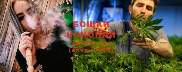 Альфа ПВП Аркадак